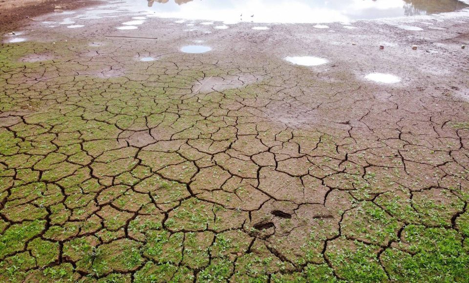 Levantamento do Simepar apontou que nove cidades, de quase todas as regiões do Estado, tiveram chuvas bem abaixo da média histórica entre os meses de junho de 2019 a março de 2020. Redução média na precipitação foi de 33% nos municípios pesquisados.
08/04/2020 - Foto: Geraldo Bubniak/AEN