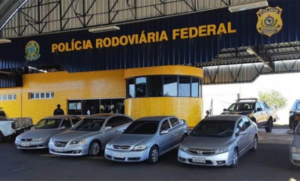 Os carros apreendidos pela PRF (Foto: Divulgação / PRF)