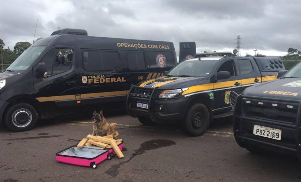 (Foto: Colaboração Polícia Federal)