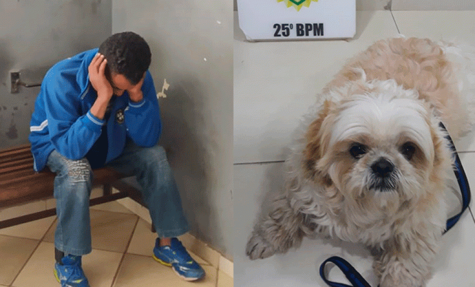 Autor do furto e o cão furtado. Foto: Fernanda Batistela/Rede TV Sul