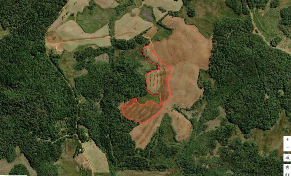 O Estado do Paraná, através do Instituto Água e Terra (IAT), deve intensificar a emissão de multas remotas neste ano, utilizando como base ferramentas via satélite.  -  Curitiba, 23/04/2021  -  Foto: Divulgação Sedest/IAT - capturas da plataforma MapBiomas