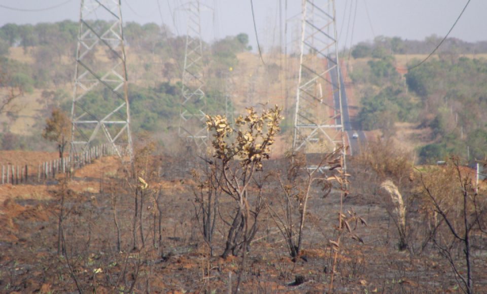 Incêndios ambientais também causam prejuízos às redes elétricas (Foto: Divulgação/Eletrosul)