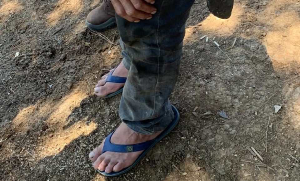 (Foto: Procuradoria do Trabalho no município de Pato Branco)