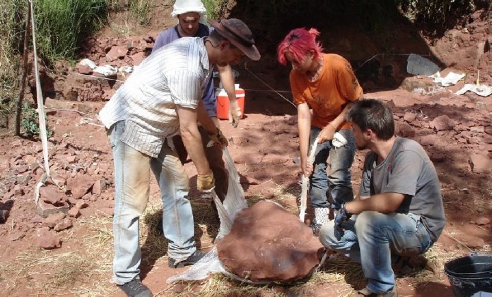 (Foto: Divulgação/Universidade do Contestado)