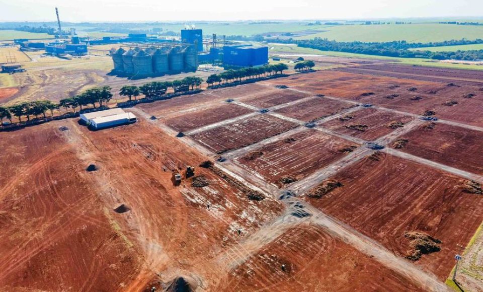 A Licença de Instalação da indústria esmagadora de soja foi entregus nesta sexta-feira (28) para a C.Vale, no município de Palotina, no Oeste do Estado. O novo empreendimento vai gerar cerca de 1500 empregos diretos e indiretos durante as obas de construção e 580 postos de trabalho após sua conclusão. - Foto: Imprensa C.Vale