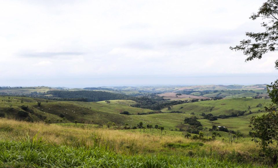 Plantaçoes , 22/05/2019 -  Foto: Geraldo Bubniak/ANPr