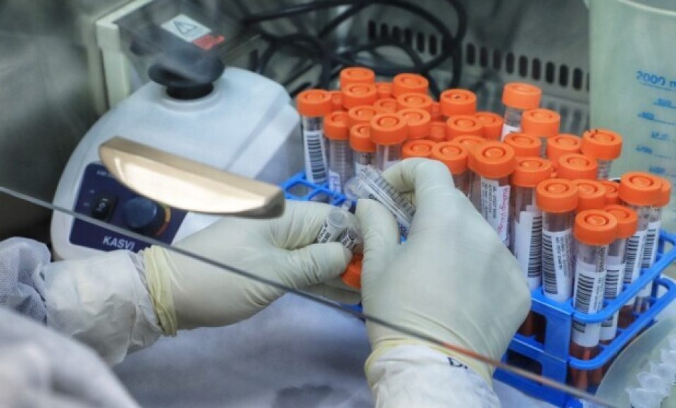 Paraná mantém liderança nacional na detecção da Covid-19 - Esse resultado só foi alcançado em função da parceria com a Unidade de Apoio ao Diagnóstico da Covid-19, implantada pelo Instituto de Biologia Molecular do Paraná (IBMP) em abril de 2020, em parceria com a Fundação Oswaldo Cruz (Fiocruz) do Rio de Janeiro e o Instituto de Tecnologia do Paraná (Tecpar). O laboratório ultrapassou nesta semana a marca de 2 milhões de testes RT-PCR. Esta foi a primeira central de testagem de alto processamento do Brasil e a unidade que mais realizou testes até agora em todo o País. -  Curitiba, 20/05/2021  -  Foto: José Fernando Ogura/AEN