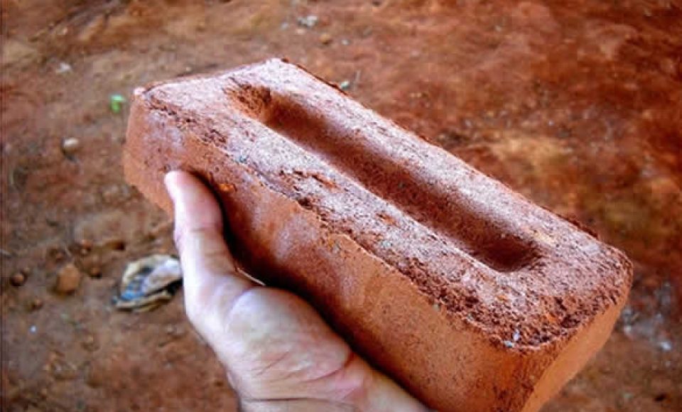 Imagem ilustrativa da internet