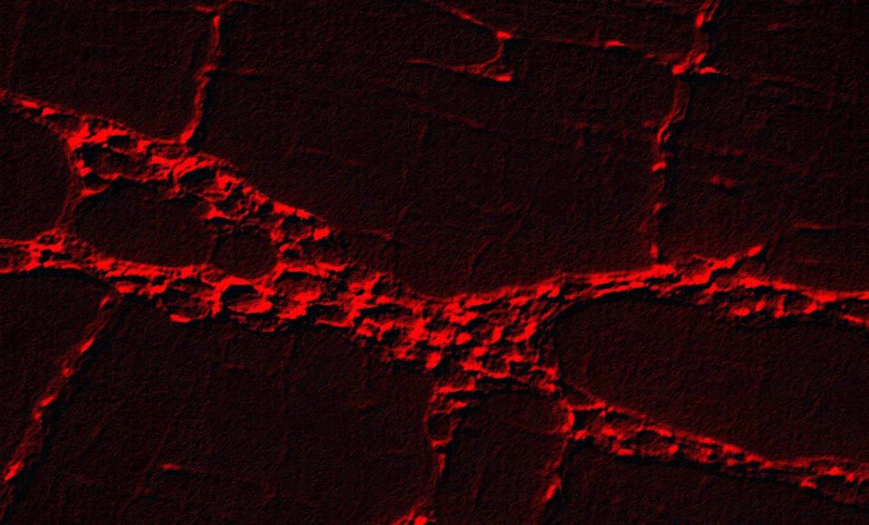 Imagem do sistema nervoso entérico evidencia células da glia, pré-processada com filtro para eliminação de ruído  -  Foto: Divulgação UEM