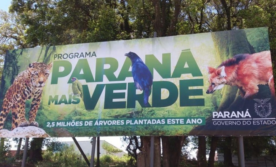 1480746605fa684ede5d7c8.56426223