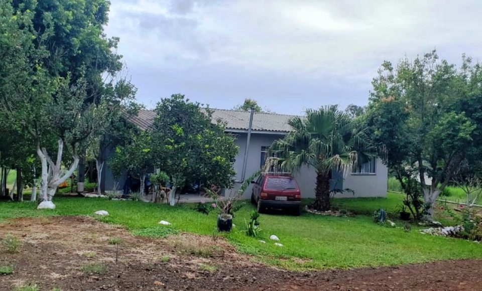 Petróleo foi encontrado na pequena cidade de Itapejara D'Oeste, no interior do Paraná — Foto: Patrícia Aparecida Misturini/Arquivo pessoal