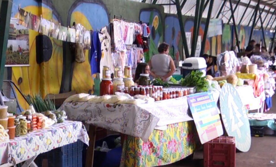 UEM promove Feira Agroecológica de Inclusão Social, Cultura e Artes