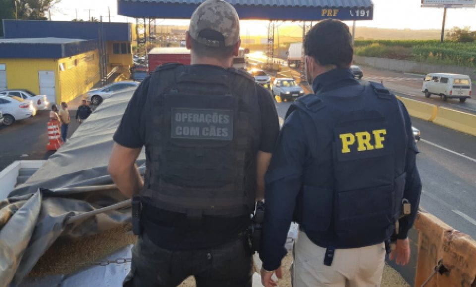 (Foto: Divulgação / PRF)