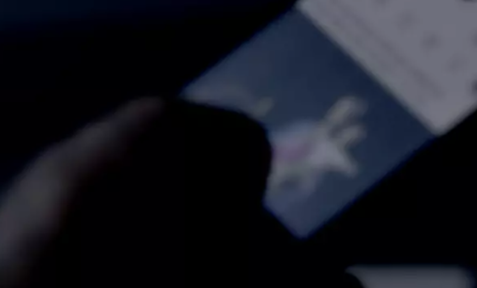 15445924406437dd5648b2e8.97764709