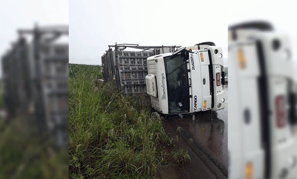 Fotos: Carlos Corujinha