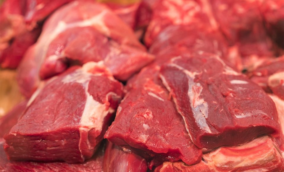 16186889165de90397471636.11829028
