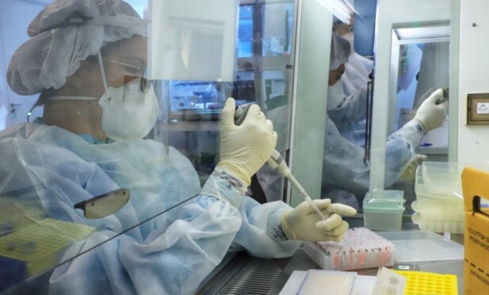 Paraná mantém liderança nacional na detecção da Covid-19 - Esse resultado só foi alcançado em função da parceria com a Unidade de Apoio ao Diagnóstico da Covid-19, implantada pelo Instituto de Biologia Molecular do Paraná (IBMP) em abril de 2020, em parceria com a Fundação Oswaldo Cruz (Fiocruz) do Rio de Janeiro e o Instituto de Tecnologia do Paraná (Tecpar). O laboratório ultrapassou nesta semana a marca de 2 milhões de testes RT-PCR. Esta foi a primeira central de testagem de alto processamento do Brasil e a unidade que mais realizou testes até agora em todo o País. -  Curitiba, 20/05/2021  -  Foto: José Fernando Ogura/AEN