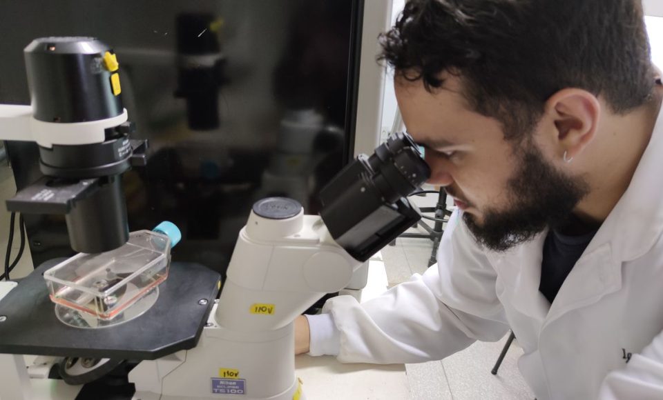 Células neuronais pesquisadas pela UNB