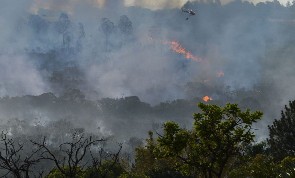 Bombeiros tentam controlar incendio no cerrado, proximo a QI 19 no Lago Sul(Valter Campanato/Agência Brasil)