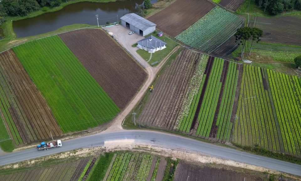 O produtor Bruno Schules, 32, de São José dos Pinhais, na Região Metropolitana de Curitiba (RMC), é um dos agricultores que trabalham com olericultura no Estado e recebem atendimento da Emater.  -  São José dos Pinhais, 04/04/2019  -  Foto: José Fernando Ogura/ANPr