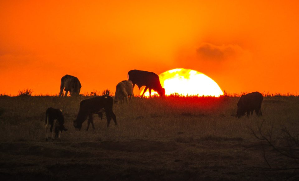 Foto: Asaff Saab de Souza