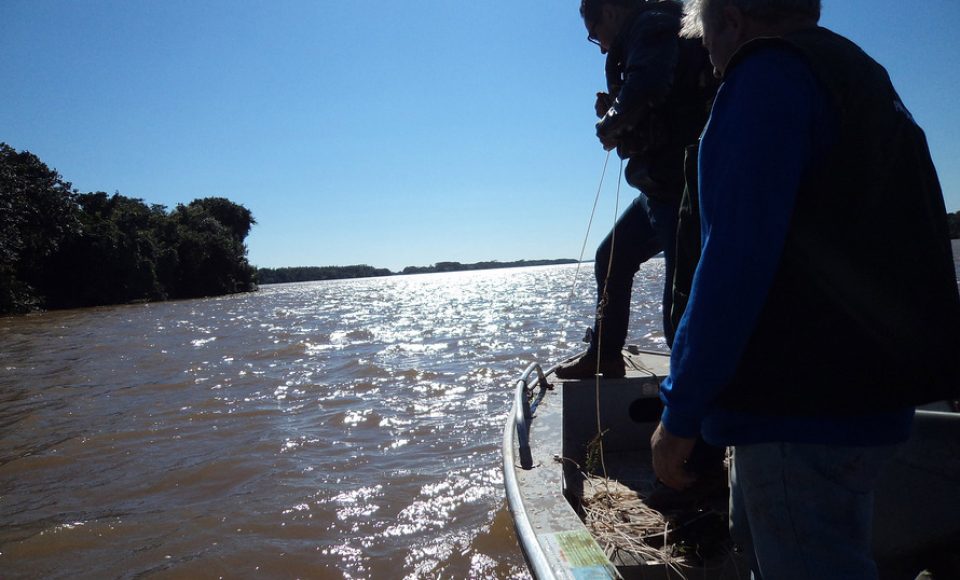 A Secretaria de Estado do Desenvolvido Sustentável e do Turismo divulga nessa sexta-feira (21), em Diário Oficial, a Resolução Sedest nº 13/20 que estabelece o novo período de defeso de espécies nativas de peixes nas bacias da União. A piracema passa a ser do dia 1º de outubro a 1º de fevereiro. Antes o prazo finalizava no dia 28 de fevereiro.  -  Curitiba, 21/02/2020  -  Foto: Divulgação SEDEST