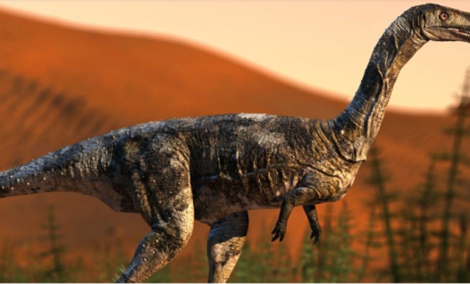 Imagem do dinossauro de Cruzeiro do Sul - Foto: Rodolfo Nogueira/USP