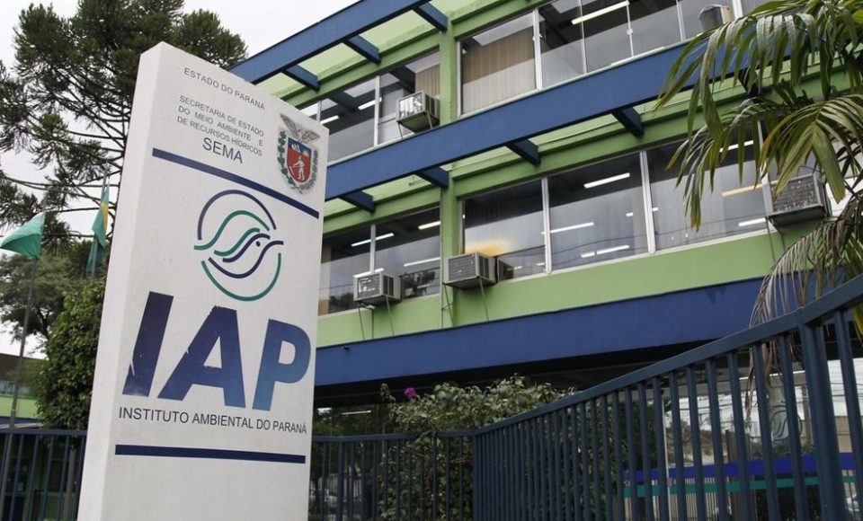 Foto: IAT/Divulgação