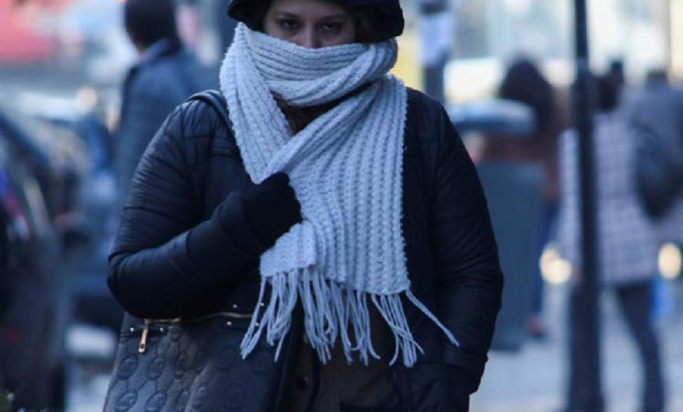 18362736175ce6d7ec5e7487.19727479