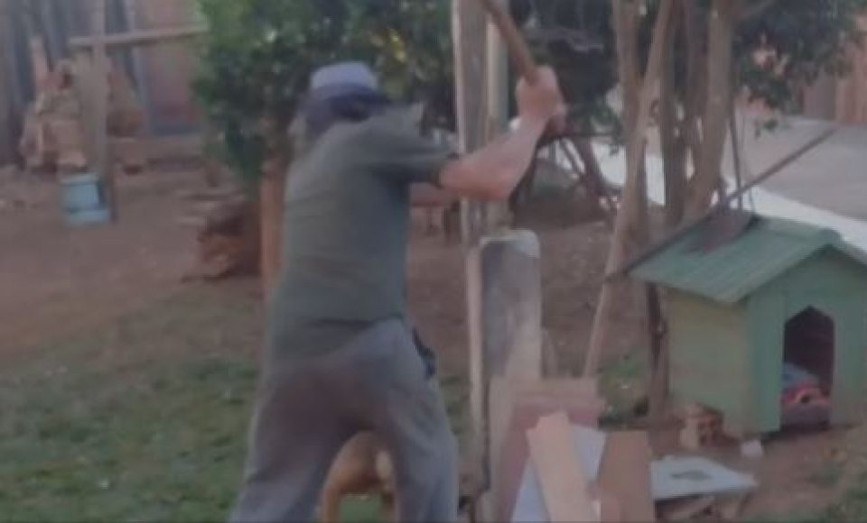Suspeito foi encaminhado pela Guarda Municipal à delegacia após ter sido flagrado desferindo golpes de foice contra o animal Foto: Divulgação