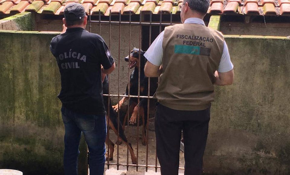Dados do Disque Denúncia 181, ferramenta da Secretaria de Segurança Pública do Paraná, apontam aumento de 111,6% nas denúncias de maus-tratos a animais domésticos no Estado nos primeiros cinco meses de 2021, se comparado ao mesmo período de 2020.  -  Curitiba, 05/07/2021  -  Foto: Polícia Civil do Paraná
