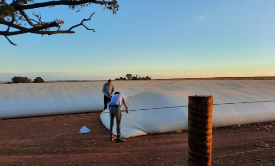 Gaeco cumpre mandado em propriedades rurais, em Goias — Foto: Divulgação/MPPR