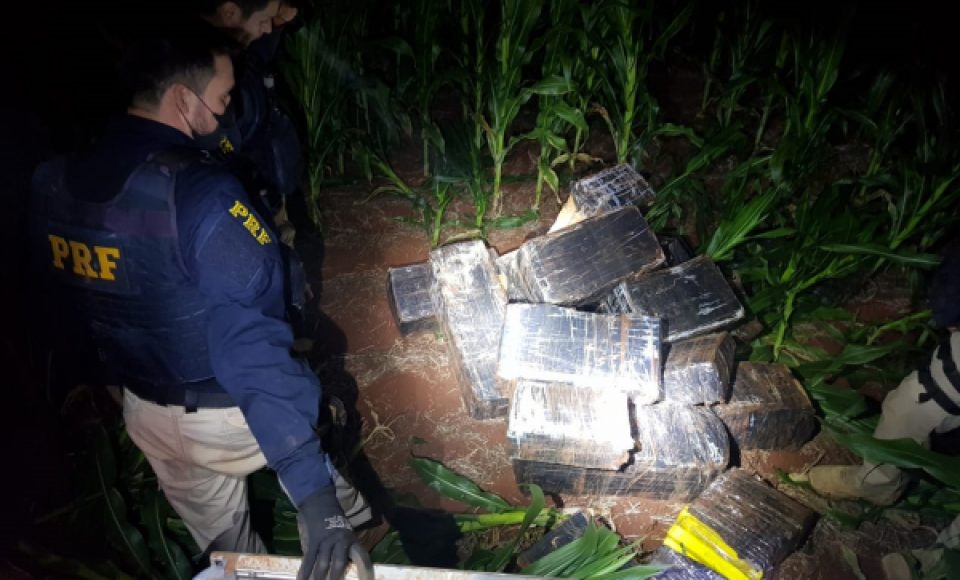 Droga encontrada em Pato Bragado (Foto: PRF)