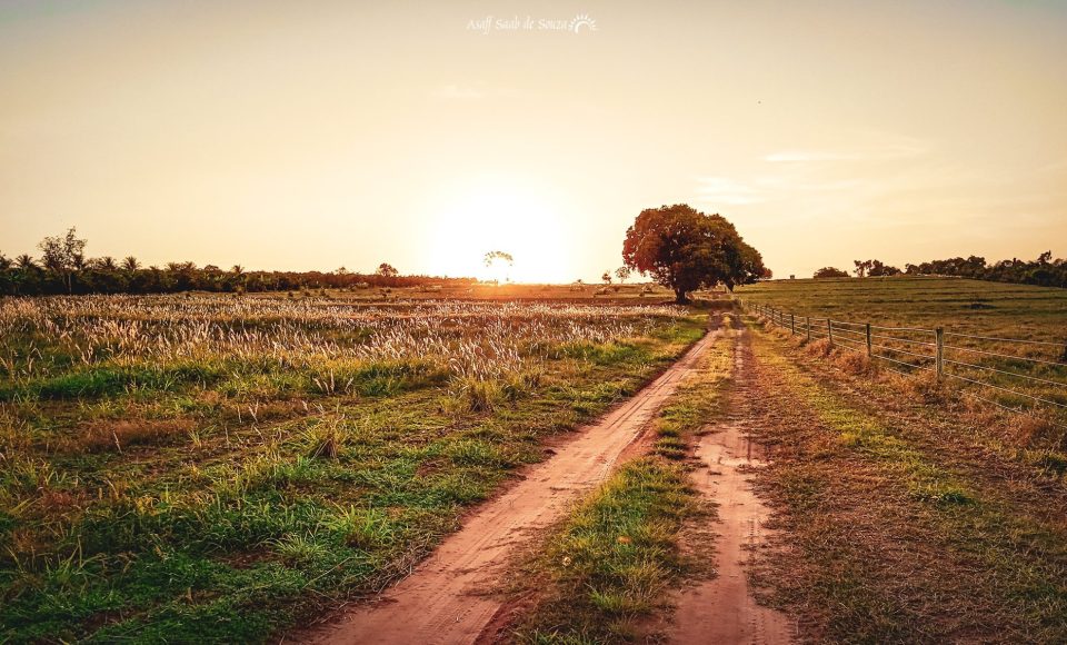 Foto Asaff Saab de Souza