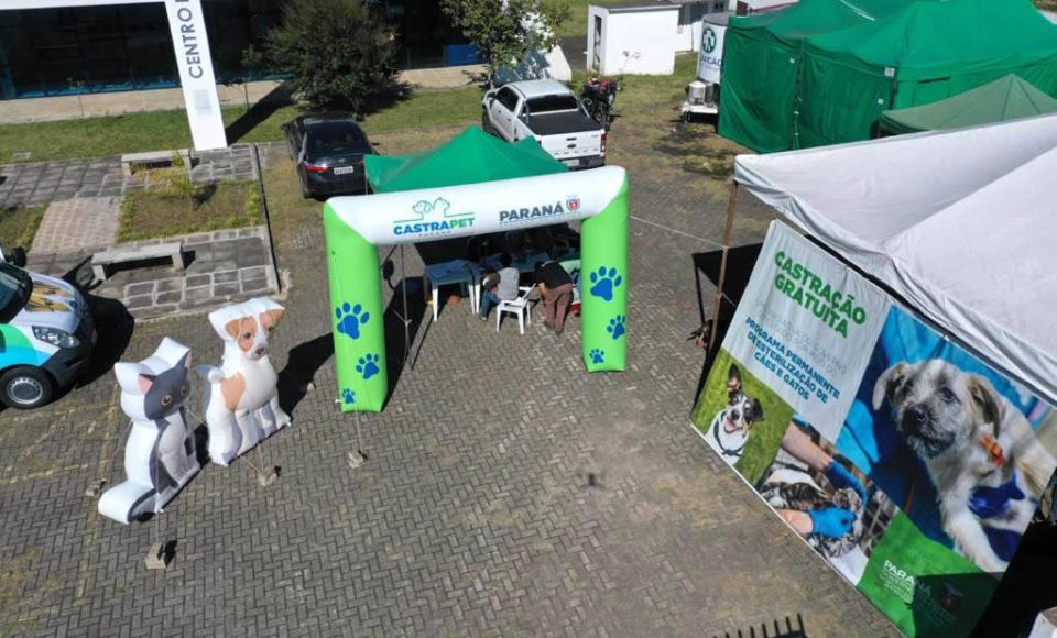 O Programa Permanente de Esterilização de Cães e Gatos – Castrapet chega a Campo Mourão nesta terça-feira (03). Ao todo, 405 animais são aguardados no castramóvel do Governo do Paraná, entre cães e gatos.  O programa é permanente e a meta é atingir 100% do Estado. -  Curitiba, 02/08/2021  -  Foto: Alessandro Vieira/AEN
