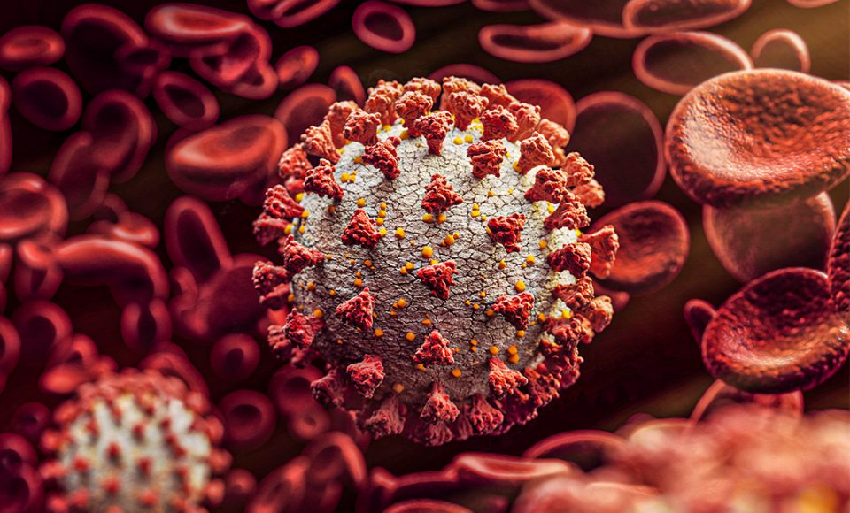 Coronavirus around blood cells