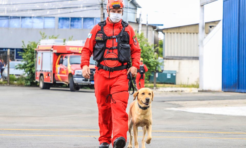 Governo do Paraná envia 10 bombeiros e quatro cães para buscas a desaparecidos em Petrópolis - Curitiba, 19/02/2022