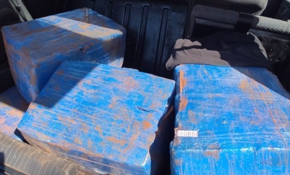 20735249835f986bbf1ea653.14153942