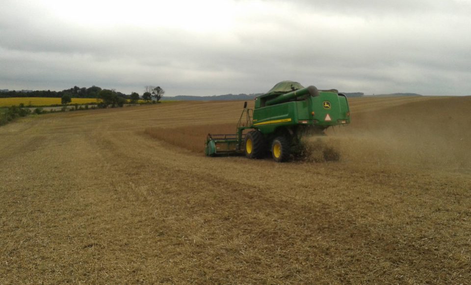 Uso de lodo de esgoto na agricultura completa 10 anos na Região Noroeste  -  Foto: Sanepar