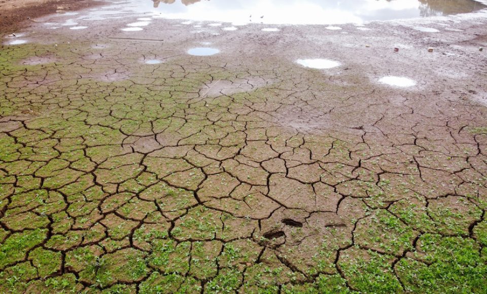 Levantamento do Simepar apontou que nove cidades, de quase todas as regiões do Estado, tiveram chuvas bem abaixo da média histórica entre os meses de junho de 2019 a março de 2020. Redução média na precipitação foi de 33% nos municípios pesquisados.
08/04/2020 - Foto: Geraldo Bubniak/AEN
