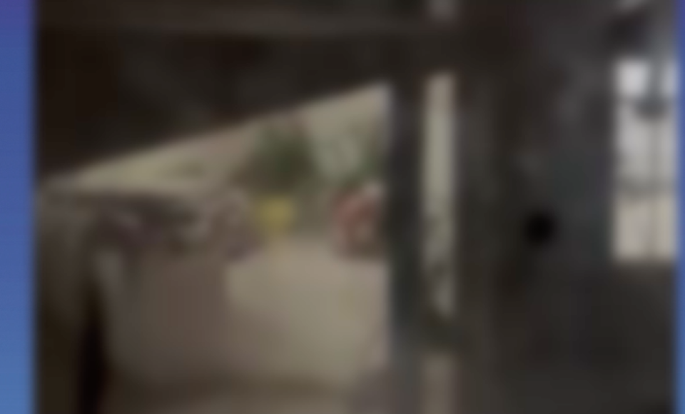 21277420996359581874b9a5.66890516