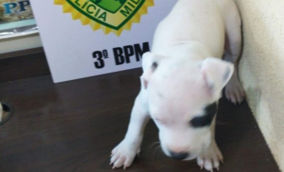 (Foto: PMPR)