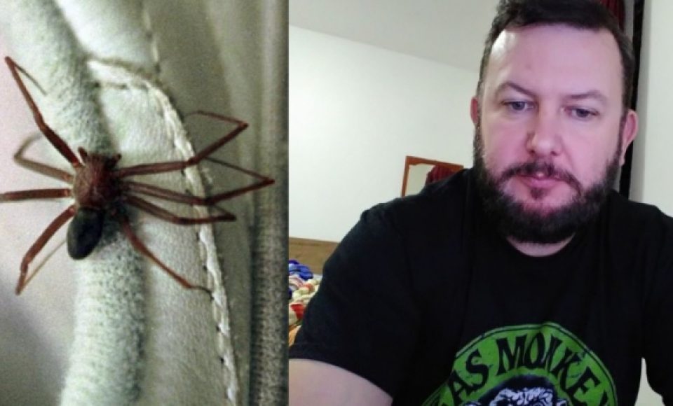 A aranha marrom e a vítima, Luciano Marchioro (Foto: Arquivo Bem Paraná/Facebook)