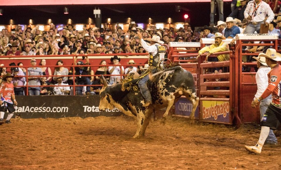 Última noite de montarias em touros na Arena Barretos 2019 — Foto: Ricardo Nasi / G1