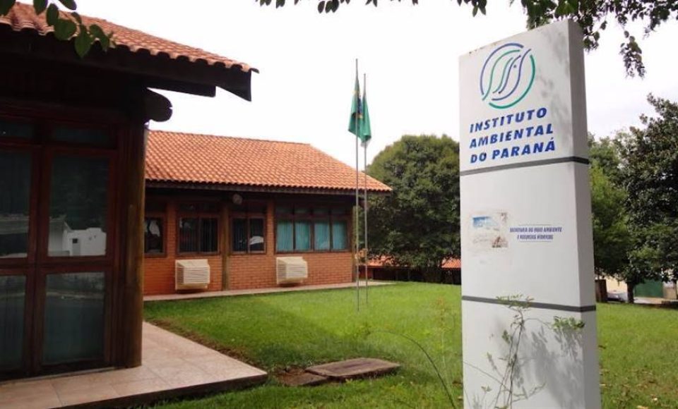 (Foto: Instituto Ambiental do Paraná/Divulgação)