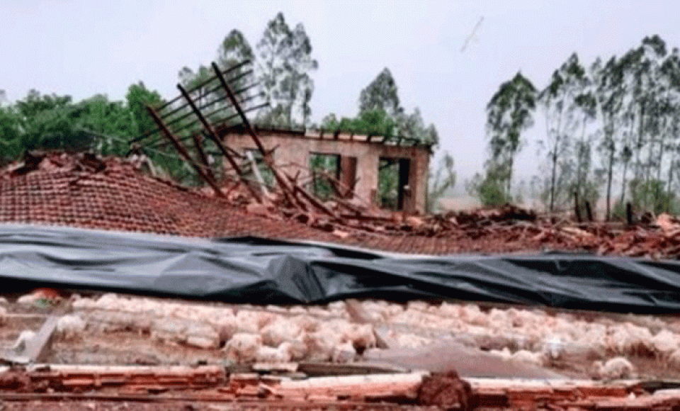 Foto: Aviário Ramal Balu
