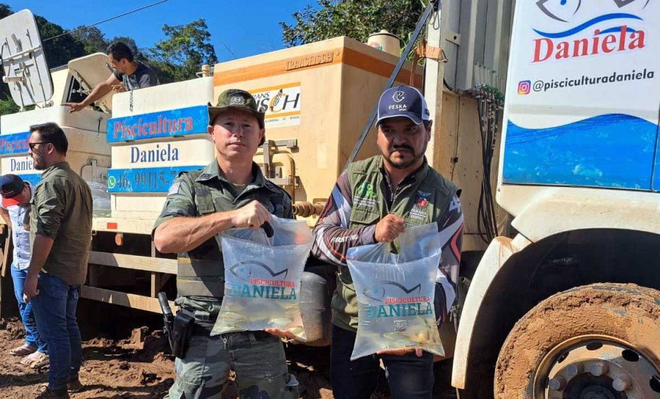 Paraná atinge meta de repovoar as bacias hidrográficas com 2,615 milhões de peixes nativos -
