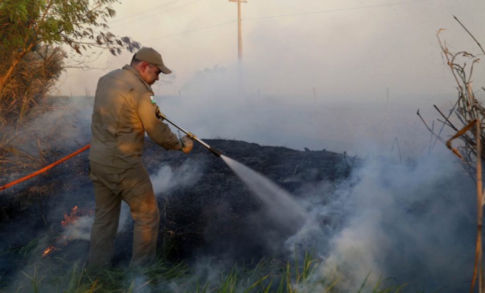 Multa vai de R$ 1 mil por hectare até fração de R$ 6 mil (Foto: Gilson Abreu/AN-PR)