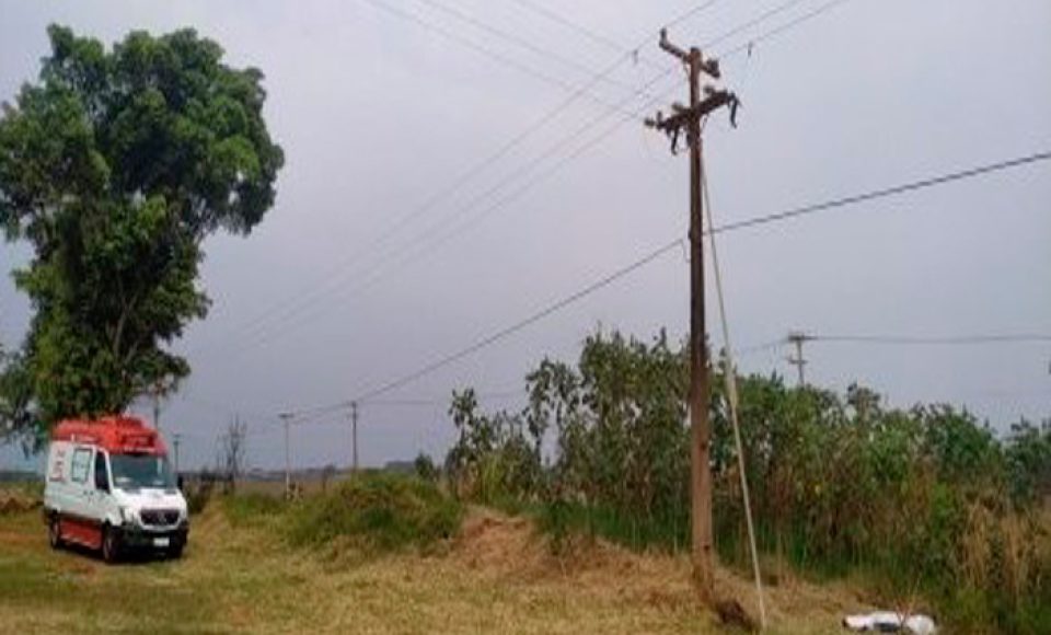 454045595d7242efdcc209.34641203