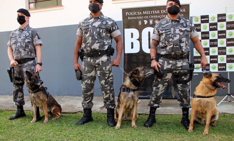 Curitiba, 27 de abril de 2020.  Aposentadoria caes do BOPE Foto: Soldado Adilson Voinaski Afonso